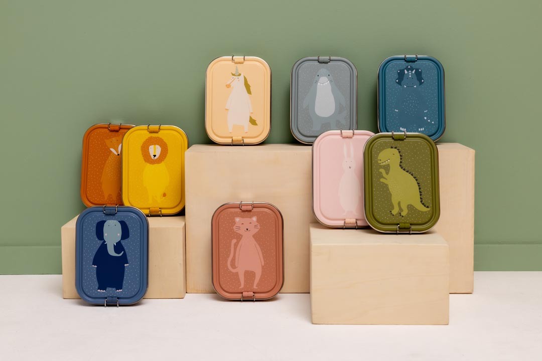 Large Lunch Box - Mr. Dino