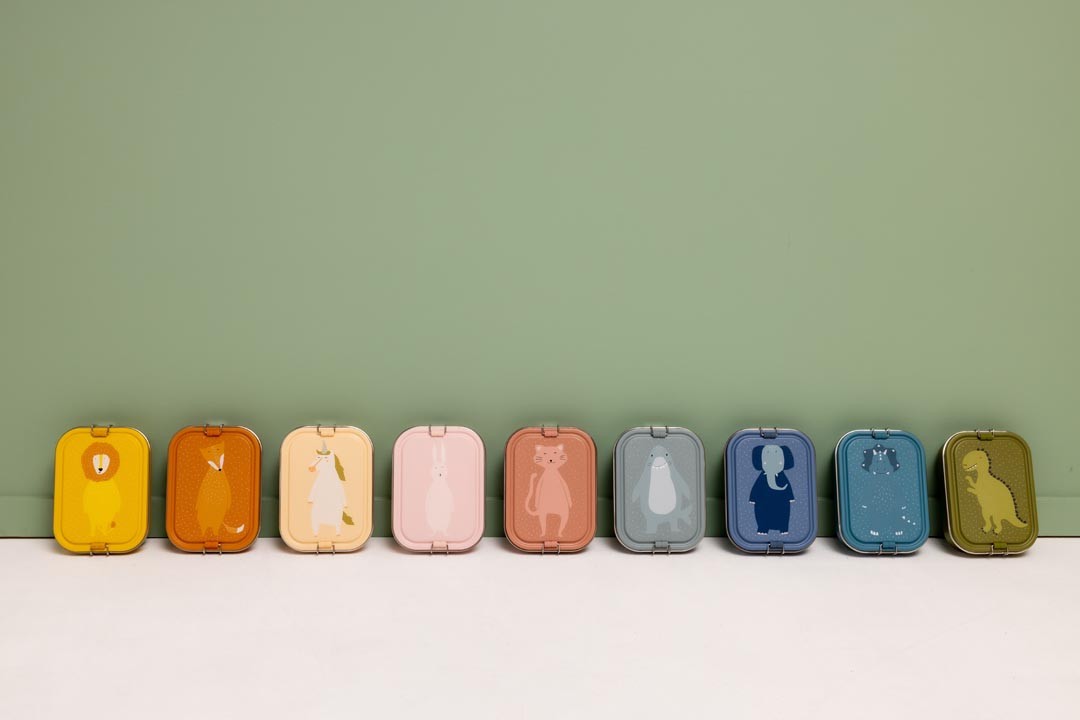 Large Lunch Box - Mr. Dino